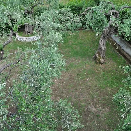 Apartahotel Irini Limenas (Thasos)